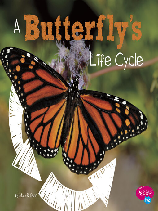 Cover image for A Butterfly's Life Cycle
